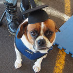 Buster
