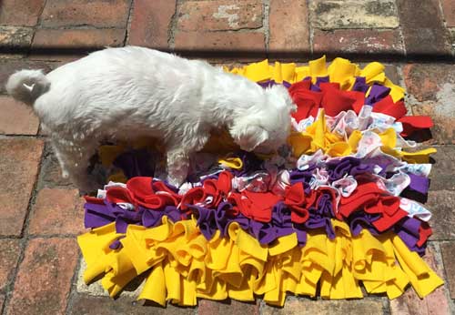 Alfy snuffle mat