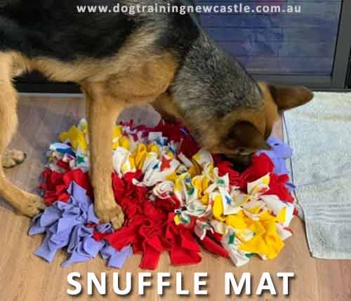 Snuffle Mat and German Shepherd Dog