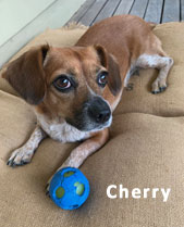 Cherry